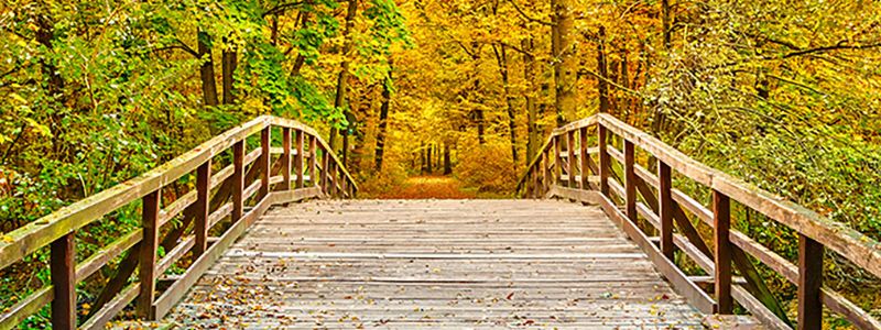Autumn Wooden Bridge