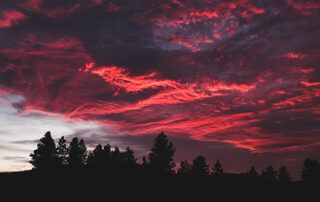 Sunset Sunrise with Tree Silhouettes