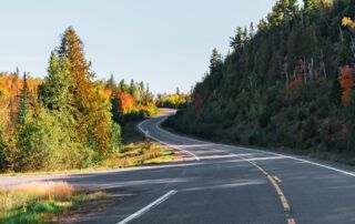 Windy Road During Fall with Sunshine