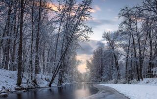 River and Riverbanks during Winter