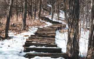 Staircase in Forest with Snow