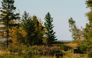 Duluth, MN Shoreline