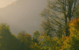 Sunrise Over Mountains During Fall