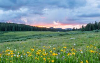 Shrine Pass Road, Red Cliff, United States