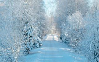 Country Road Covered in Snow with Snow Covered Frosted Trees