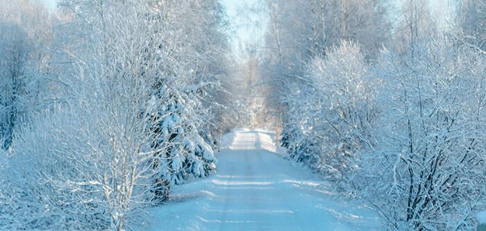 Country Road Covered in Snow with Snow Covered Frosted Trees
