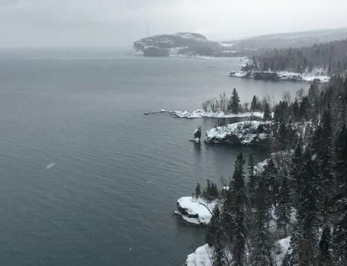 Market Updates – January 2026