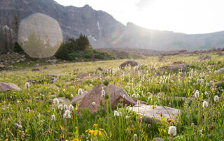 Mountains with Meadow in the foreground