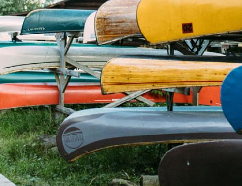 Market Updates – June 2026